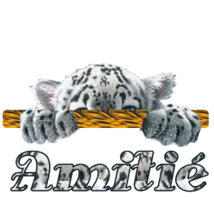 DEDICACE