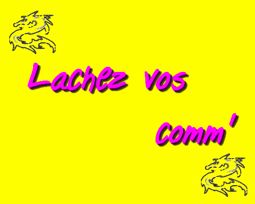 LACHEZ VOS COMM'S