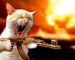 VENGEANCE
