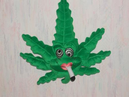 CANNABIS